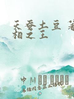 天蚕土豆 著万相之王