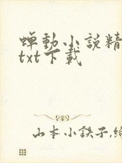 蝉动小说精校版txt下载