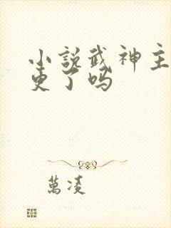 小说武神主宰停更了吗