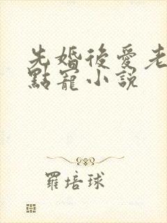 先婚后爱老公轻点宠小说