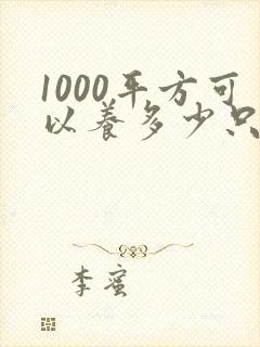 1000平方可以养多少只鸡