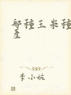 哪种玉米种子高产