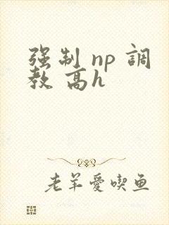 强制 np 调教 高h