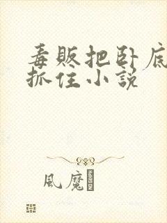 毒贩把卧底女警抓住小说