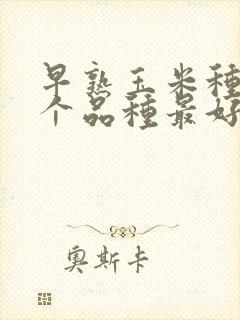 早熟玉米种子哪个品种最好