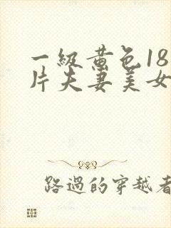 一级黄色18岁片夫妻美女