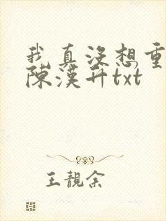 我真没想重生啊陈汉升txt