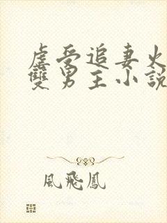 虐受追妻火葬场双男主小说