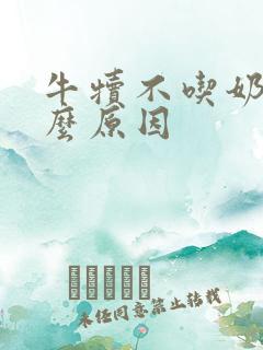 牛犊不吃奶是什么原因