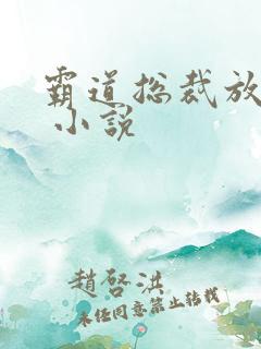 霸道总裁放肆爱 小说