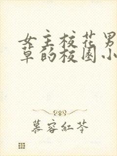 女主校花男主校草的校园小说