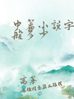 中篇小说字数一般多少