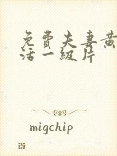 免费夫妻黄色生活一级片