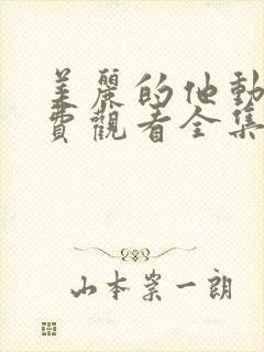 美丽的他动漫免费观看全集