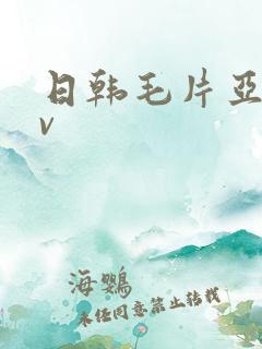 日韩毛片亚洲av