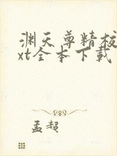 渊天尊精校版txt全本下载