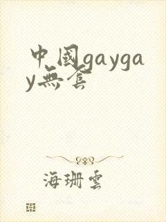 中国gaygay无套