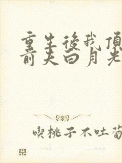 重生后我顶替了前夫白月光完本