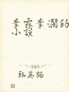 李霖李澜的官场小说