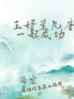 王婿叶凡唐若雪 一起成功