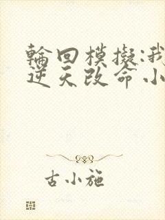 轮回模拟:我能逆天改命小说