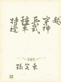 特种兵穿越古代边军武神