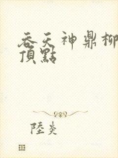 吞天神鼎柳无邪顶点