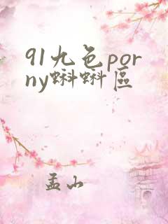 91九色porny蝌蚪区