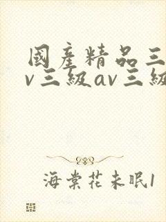 国产精品三级av三级av三级