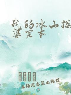 我的冰山总裁老婆完本