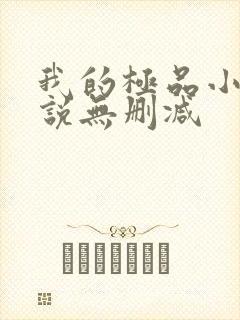 我的极品小姨小说无删减