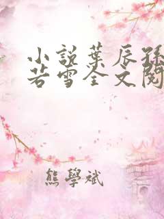 小说叶辰孙怡夏若雪全文阅读