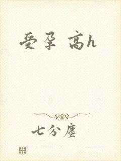 受孕 高h