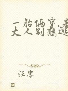 一胎俩宝,老婆大人别想逃,听书