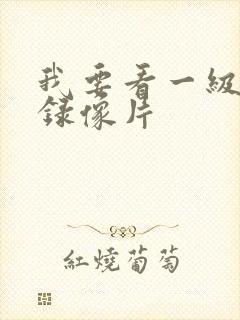 我要看一级黄色录像片