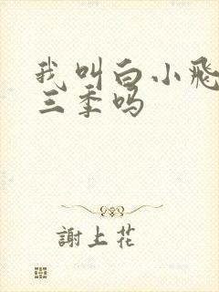 我叫白小飞有第三季吗