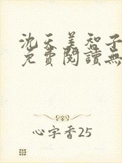 沈天美智子小说免费阅读无弹窗