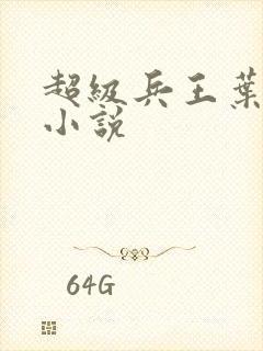 超级兵王叶谦 小说