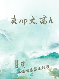 爽np文高h