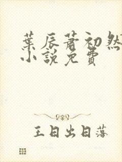 叶辰萧初然最新小说免费