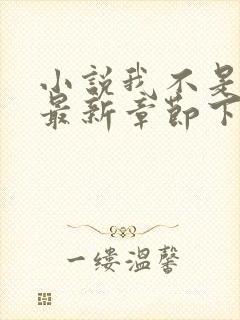 小说我不是戏神最新章节下载