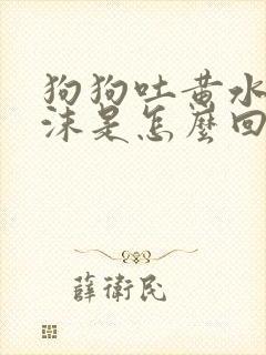 狗狗吐黄水带泡沫是怎么回事