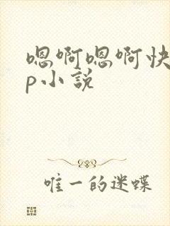 嗯啊嗯啊快点np小说