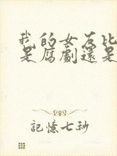 我的女友比我帅是腐剧还是甜剧