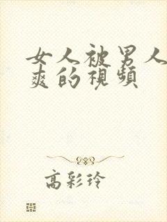 女人被男人插到爽的视频