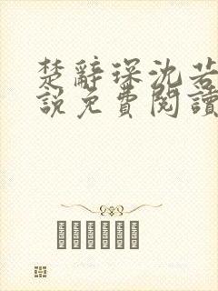 楚辞琛沈若京小说免费阅读无弹窗