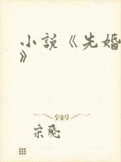 小说《先婚后爱》