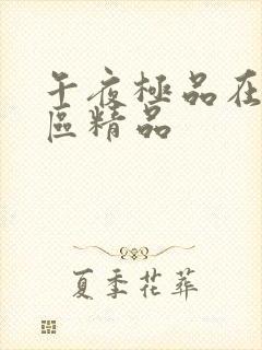 午夜极品在线一区精品