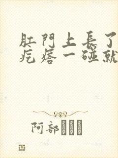 肛门上长了个硬疙瘩一碰就疼