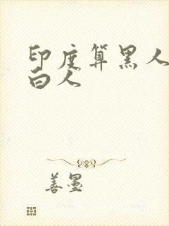 印度算黑人还是白人